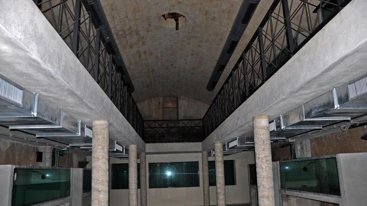 L'interno dell'ex acquedotto dove sorgerà il museo