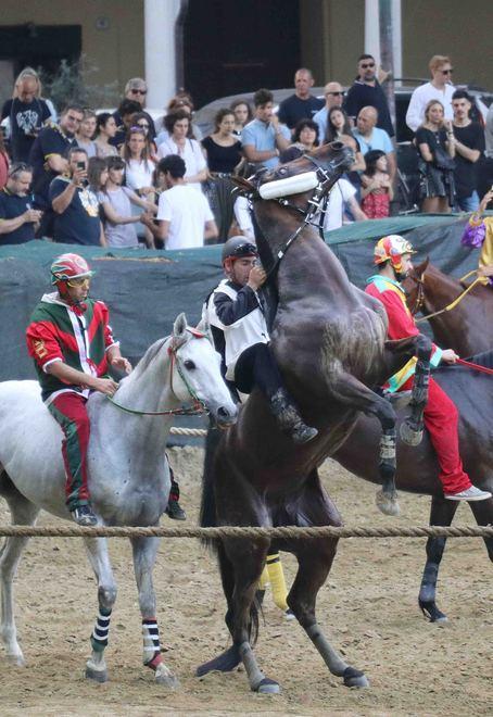 Attesa per un gran finale Veterani a confronto 