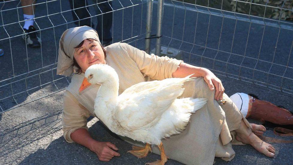 Anche l’oca ha rischiato di dare forfait