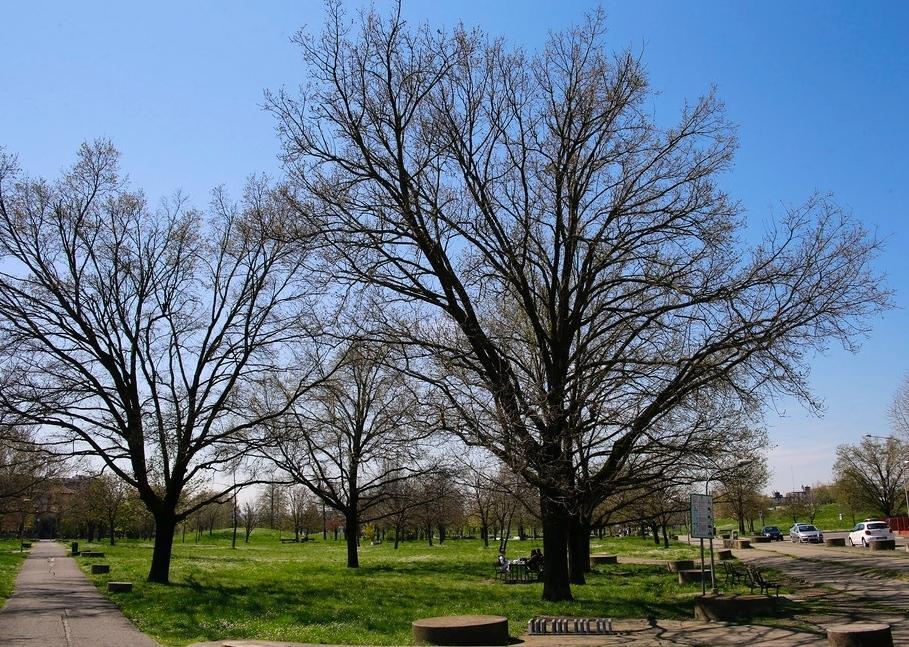 Modena, tredicenne aggredito al parco Amendola 