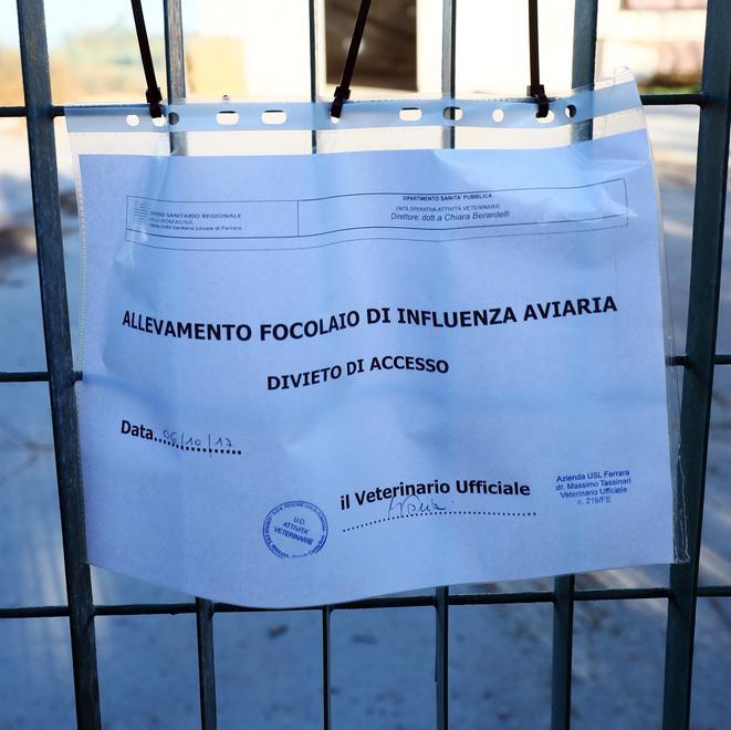 Per la ditta Eurovo la perdita fu di 740mila polli