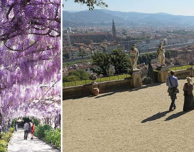 Fiori, arte e tutta Firenze in uno sguardo 