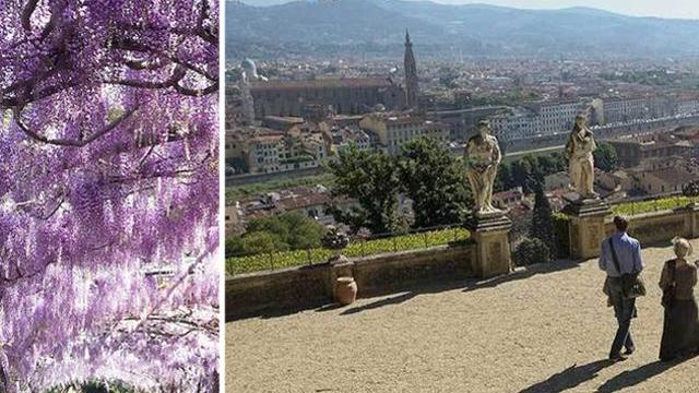 Fiori, arte e tutta Firenze in uno sguardo