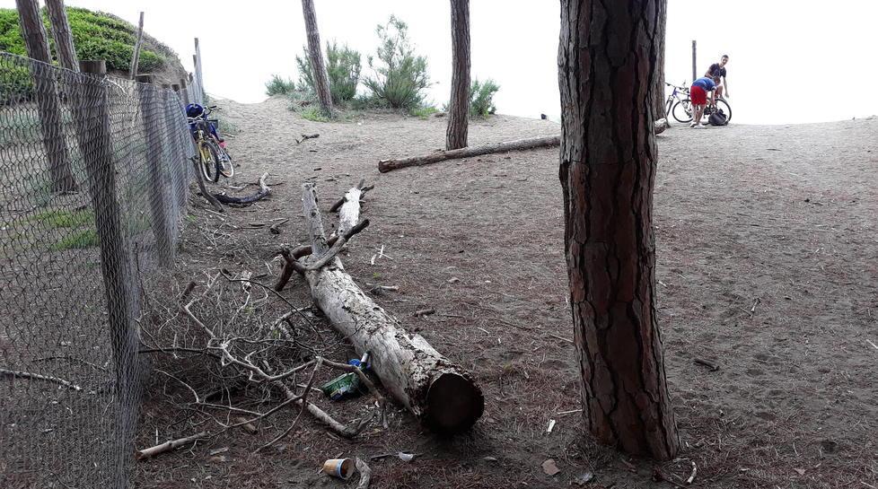 «Dopo il fine settimana la pineta è sporca» 