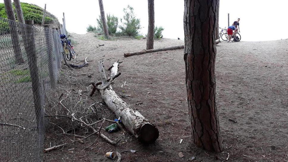 «Dopo il fine settimana la pineta è sporca»