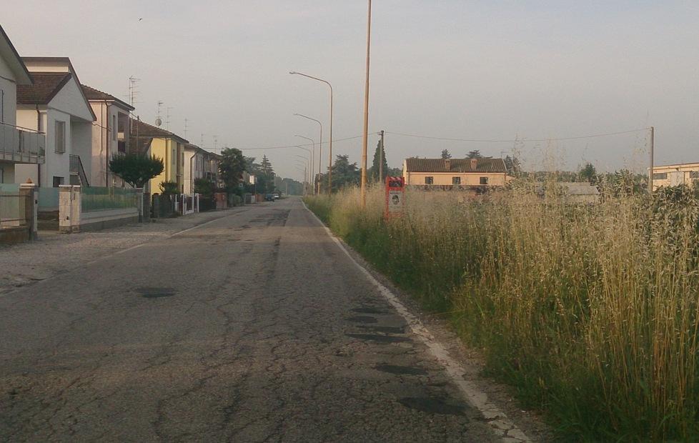 Il velox nascosto dall’erba alta 