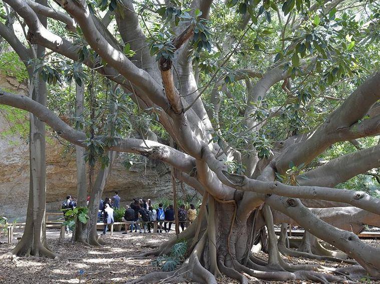 Una “biblioteca vivente” contro i pregiudizi 