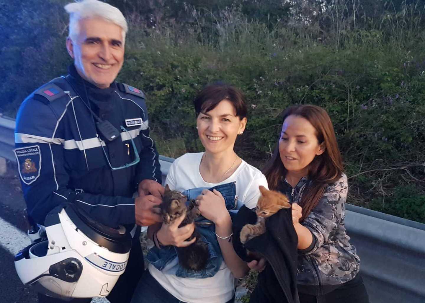 Tre gattini salvati sulla superstrada