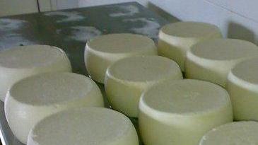 «Pecorino romano vigilanza sulle quote»