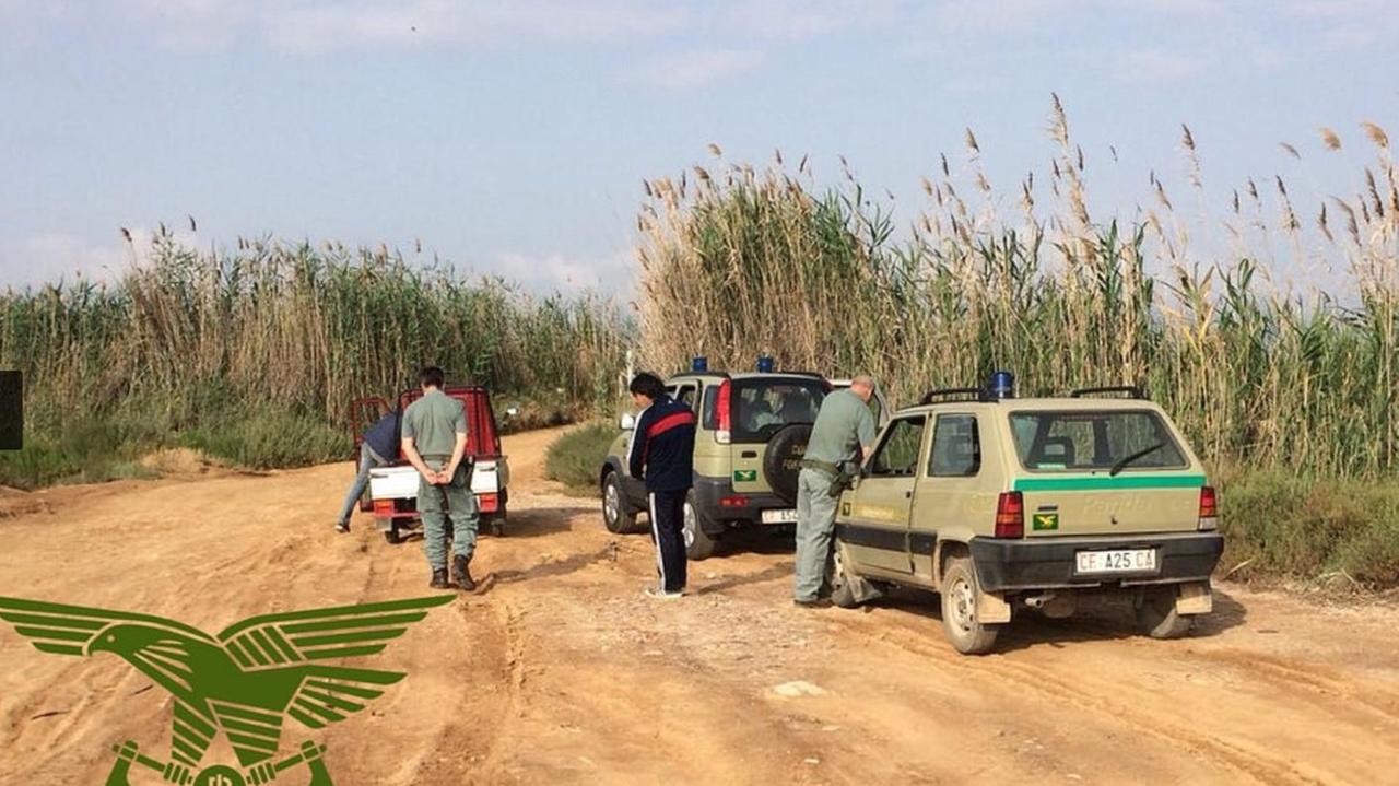 Mezza tonnellata di pregiato tonno rosso trafugata e nascosta
