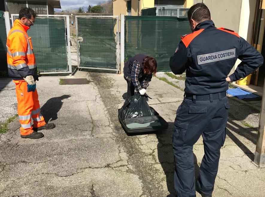 Carcassa di cane nascosta dentro una valigia 