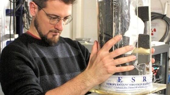 Un milione di anni fa visse all’Argentario un ghepardo gigante