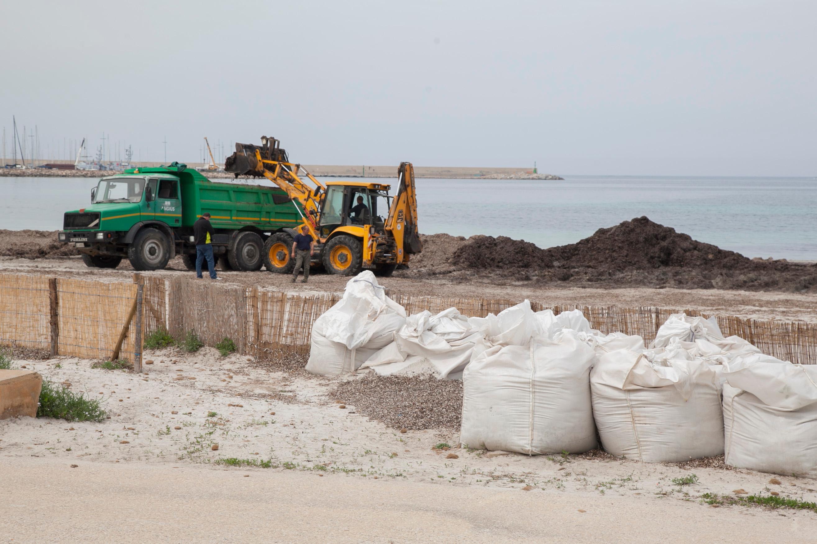 Alghero, l'emergenza alghe è finita
