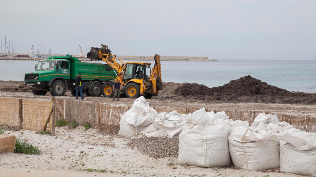 Alghero, l'emergenza alghe è finita
