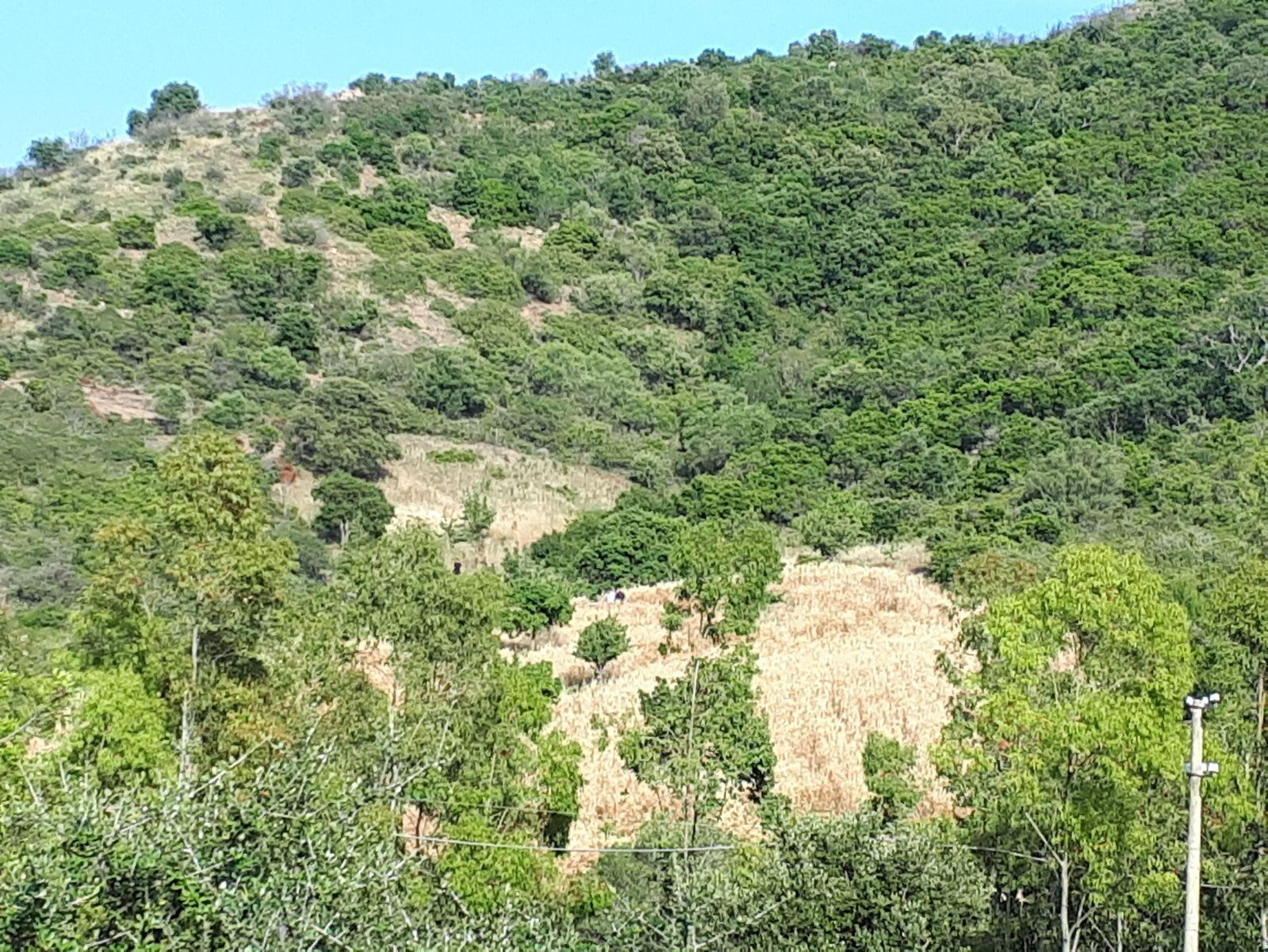 Il luogo in cui è stato trovato il corpo del forestale