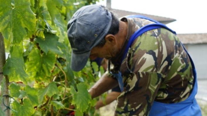 Più flessibilità oraria nel contratto agricolo
