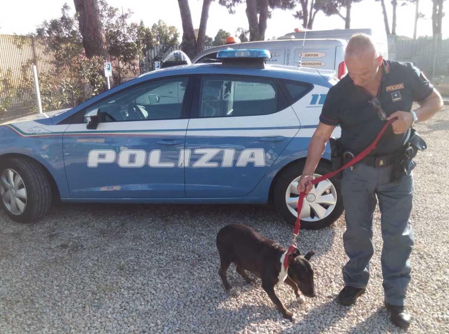 Il cane nell’auto rovente, denunciata una donna 