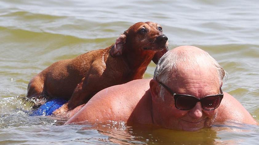 Una spiaggia per i cani Ma in acqua solo 10 minuti