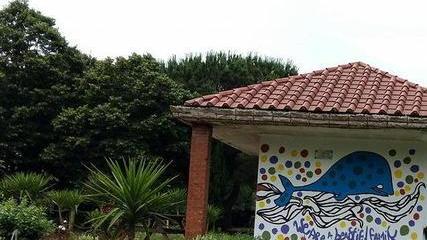 Erba alta e sporcizia ai giardini del Poggetto
