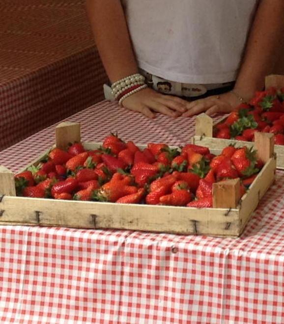 Festa della fragola, raccolte tre tonnellate di rifiuti