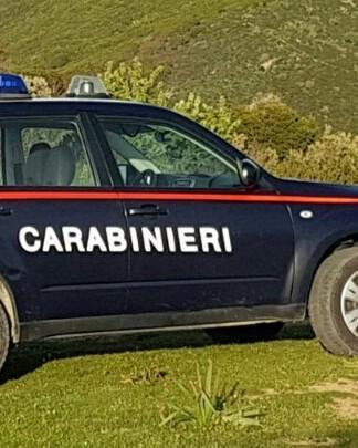 Zerfaliu, ladri in azione in due aziende agricole