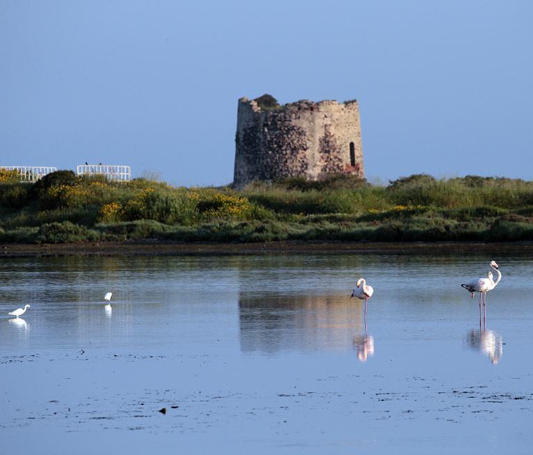 Comitato faunistico, seduta contestata 