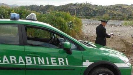 Il fiume Lonza inquinato dai liquami di un’azienda