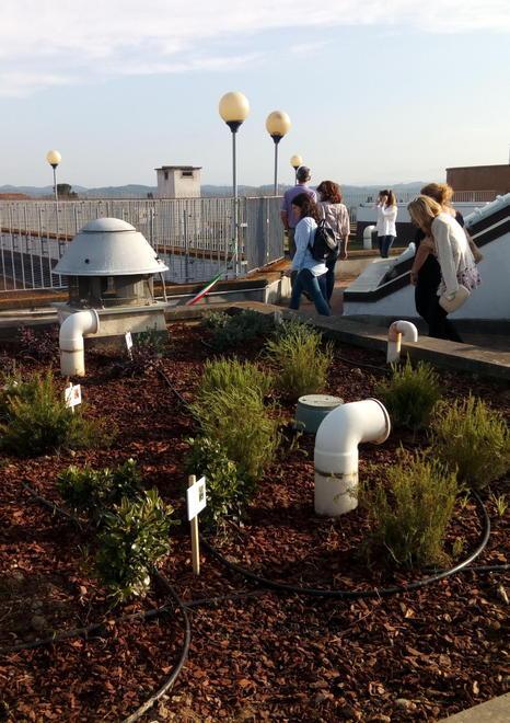 Nasce un giardino sul tetto dell’Istituto tecnico Cattaneo 