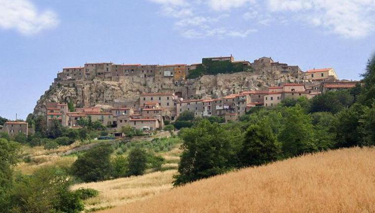 Esprime idee politiche Bersaglio di razzismo su Fb 