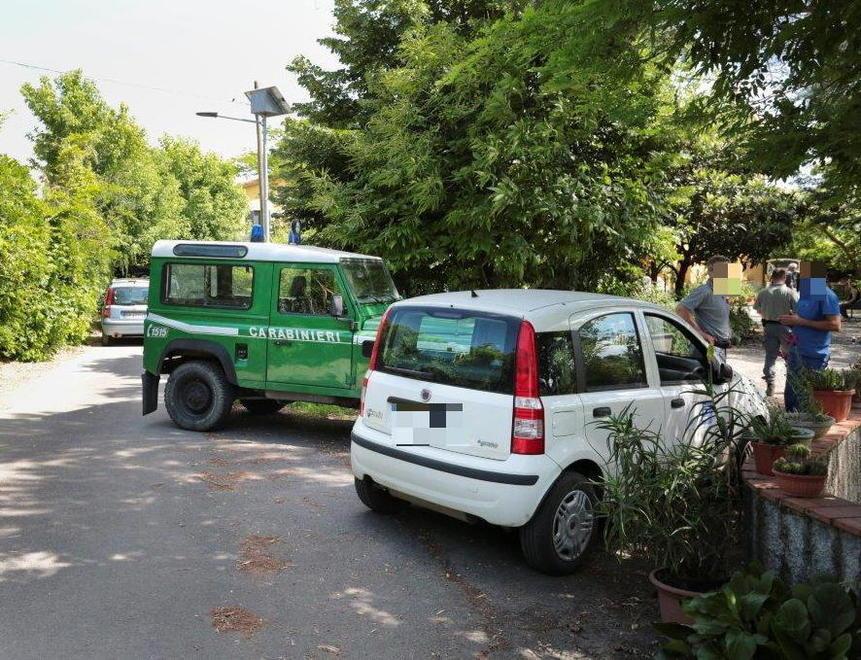 La padrona cade il cane l’azzanna e la ferisce al viso 