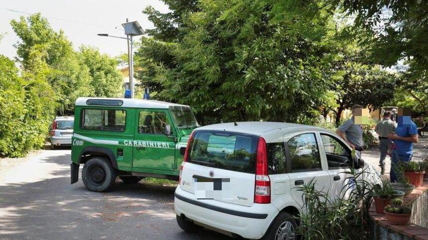 La padrona cade il cane l’azzanna e la ferisce al viso