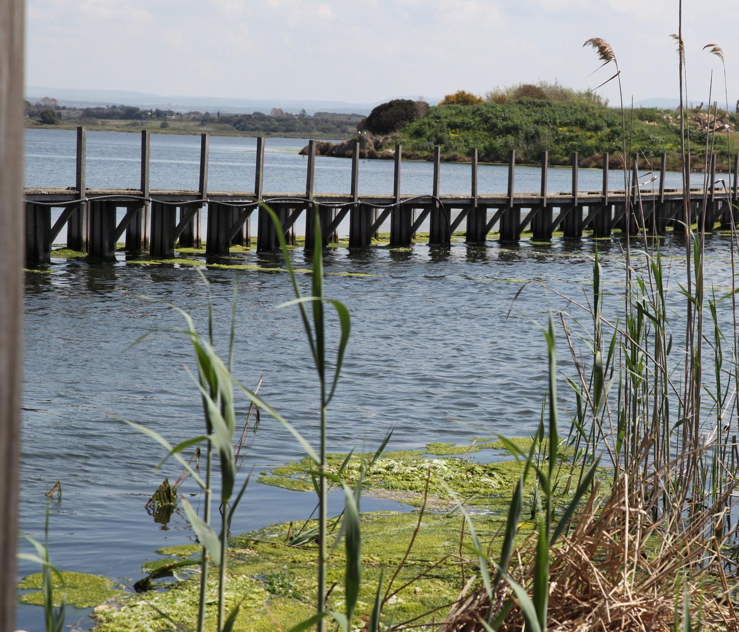 Una conferenza di servizi sul Calich 