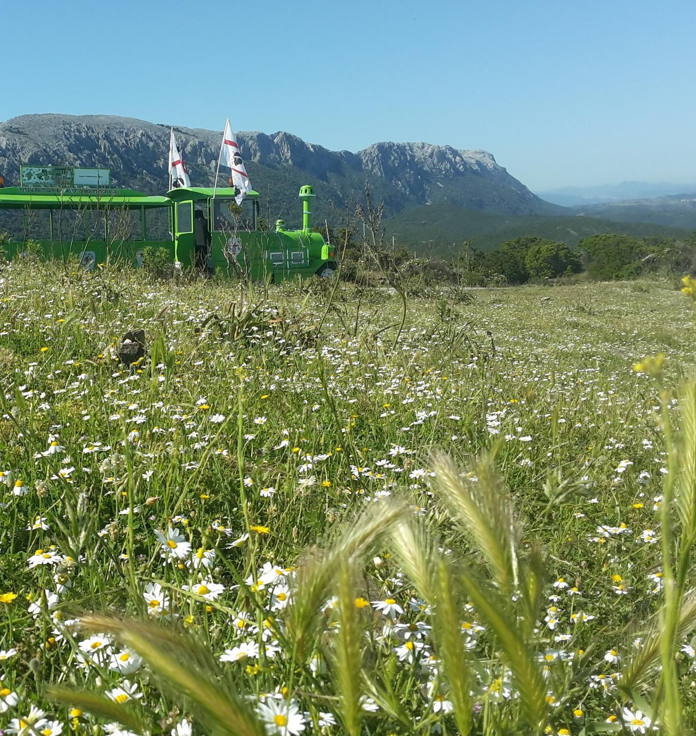In trenino dal mare al monte bianco: dall'amore per il Montalbo la sfida di due imprenditori