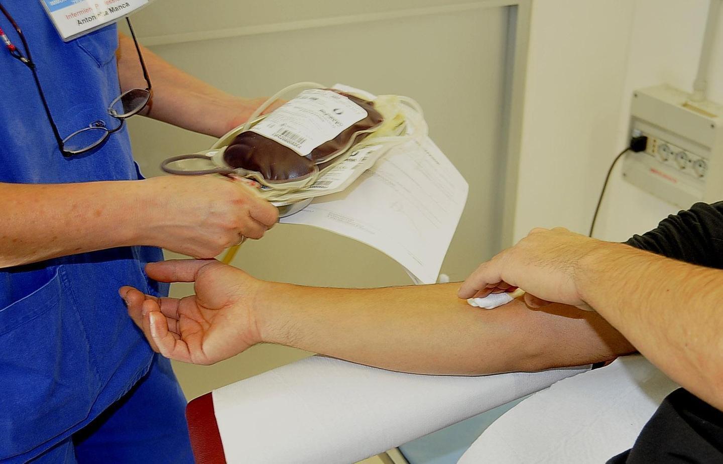 L’arrivo dell’estate fa scattare l’allarme sulle donazioni 