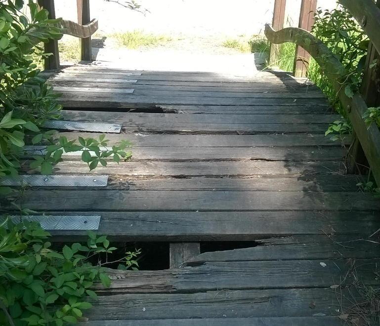 Chioschi presi di mira in pineta di Levante 