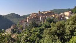 Sassetta, 40 volontari hanno pulito il bosco