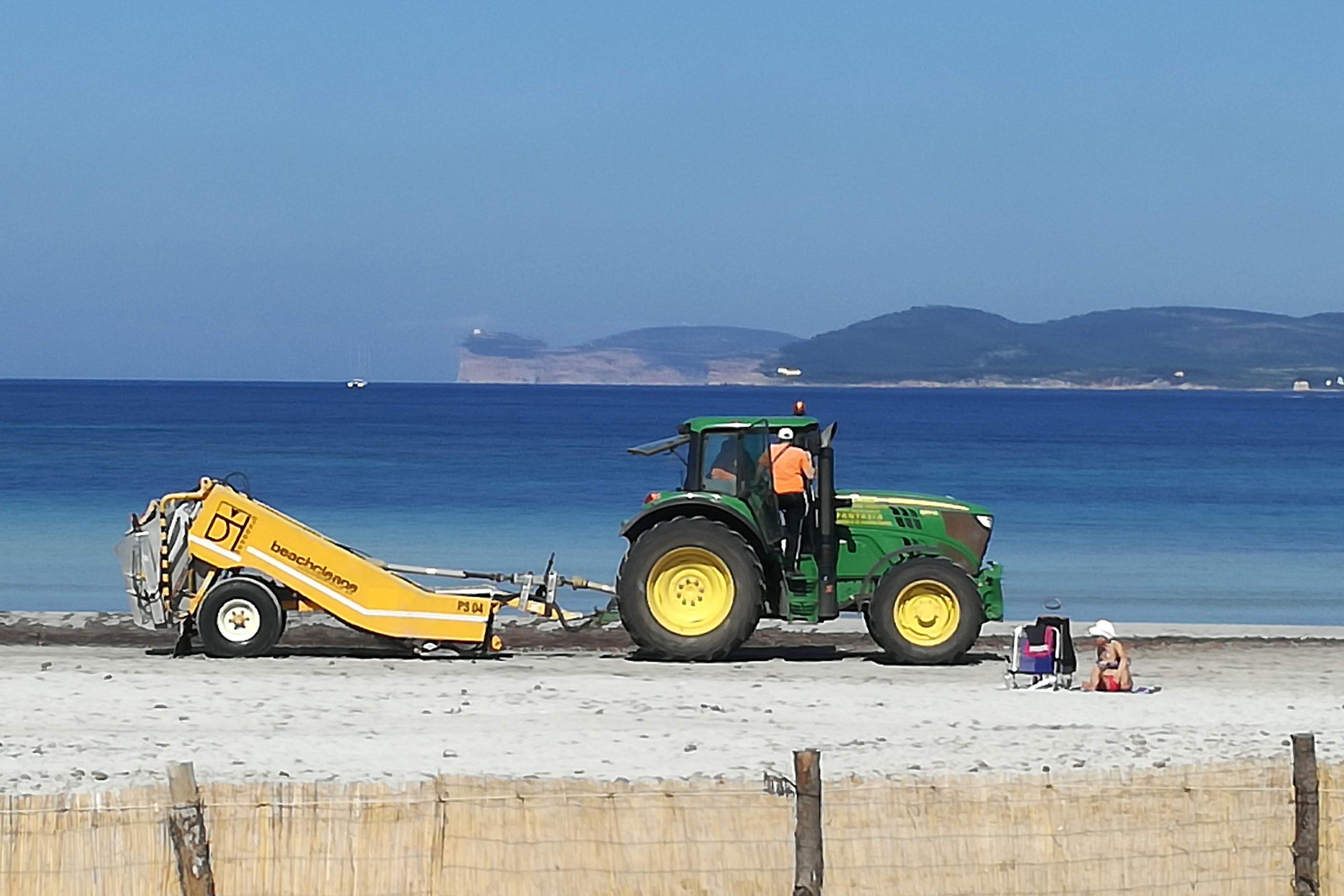 «Allarme esagerato: la posidonia è sana» 