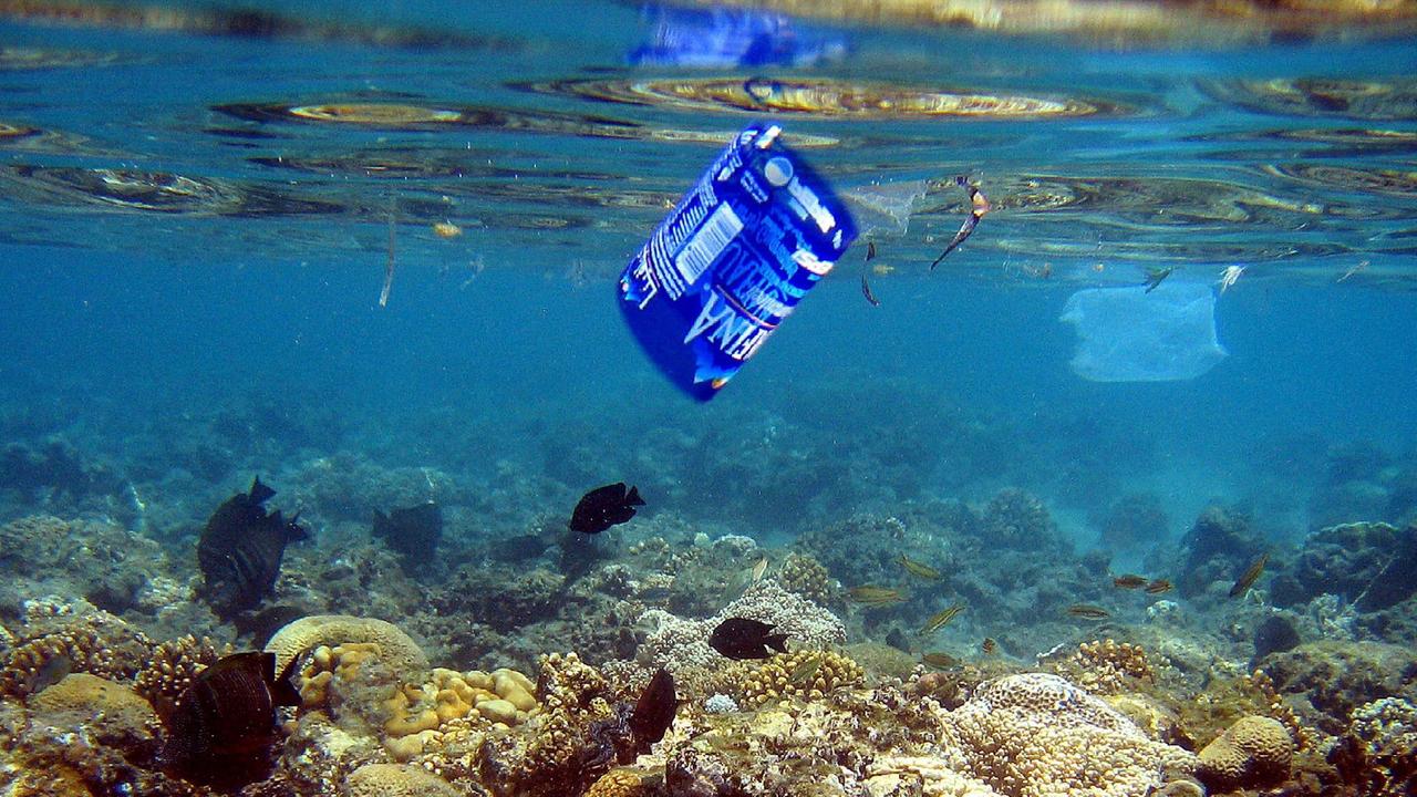Via la plastica dal mare, grazie ai pescatori