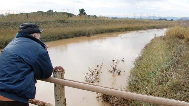 Consorzio: Fiume Cornia più sicuro