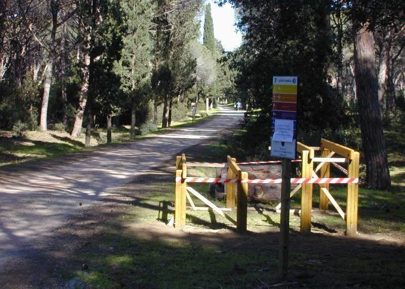«Daini in fuga inseguiti dai lupi» 