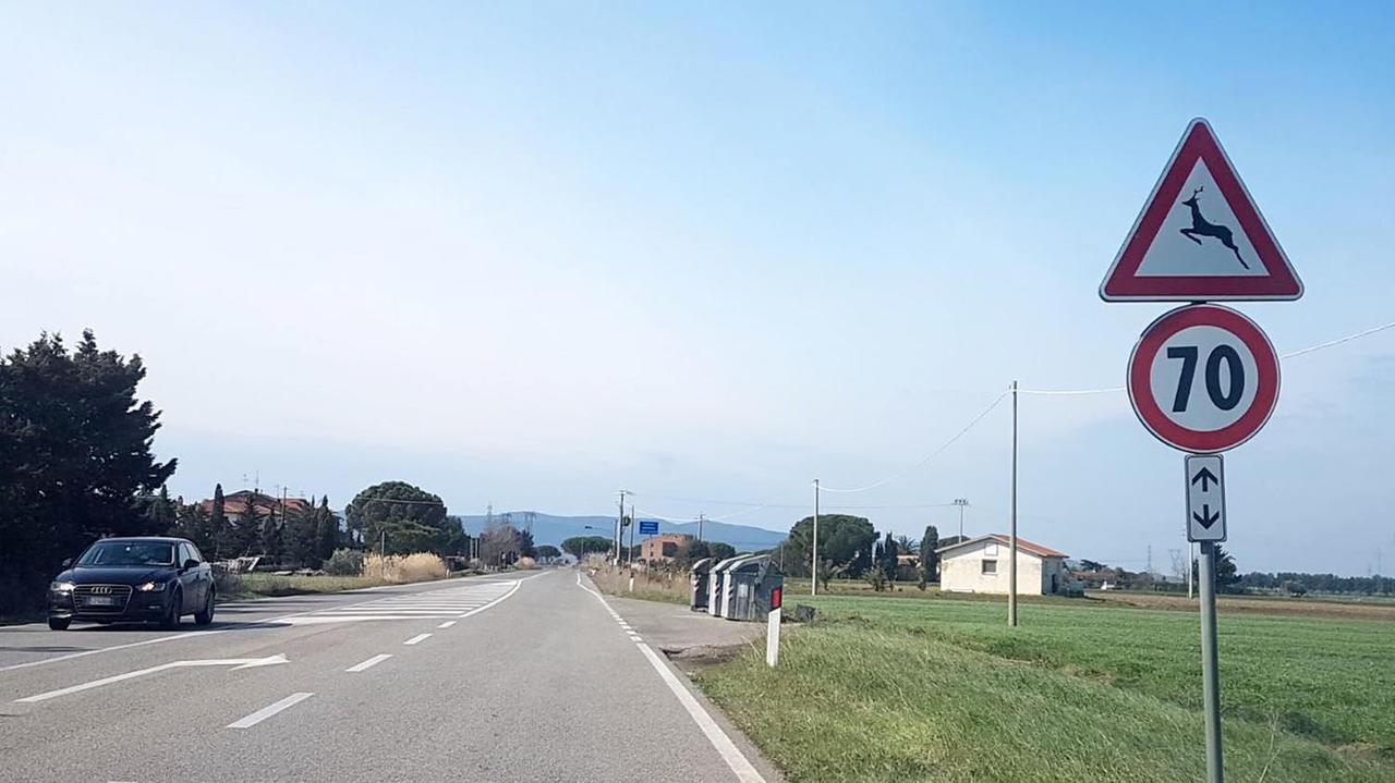 Sulla strada della Base geodetica rimarrà anche in estate il limite dei 70 orari (PaBar)