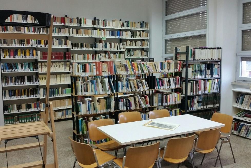 Libri e dvd, la biblioteca fa il “pienone”