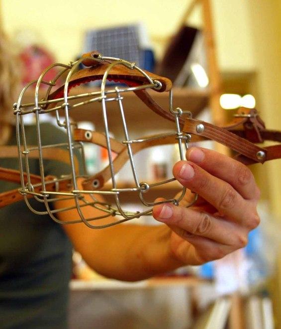 «Il cane deve portare la museruola, la proprietaria deve assicurarsi»