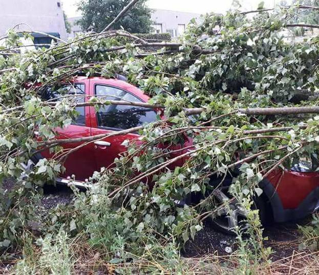 Temporale, nuovo disastro nella Bassa 