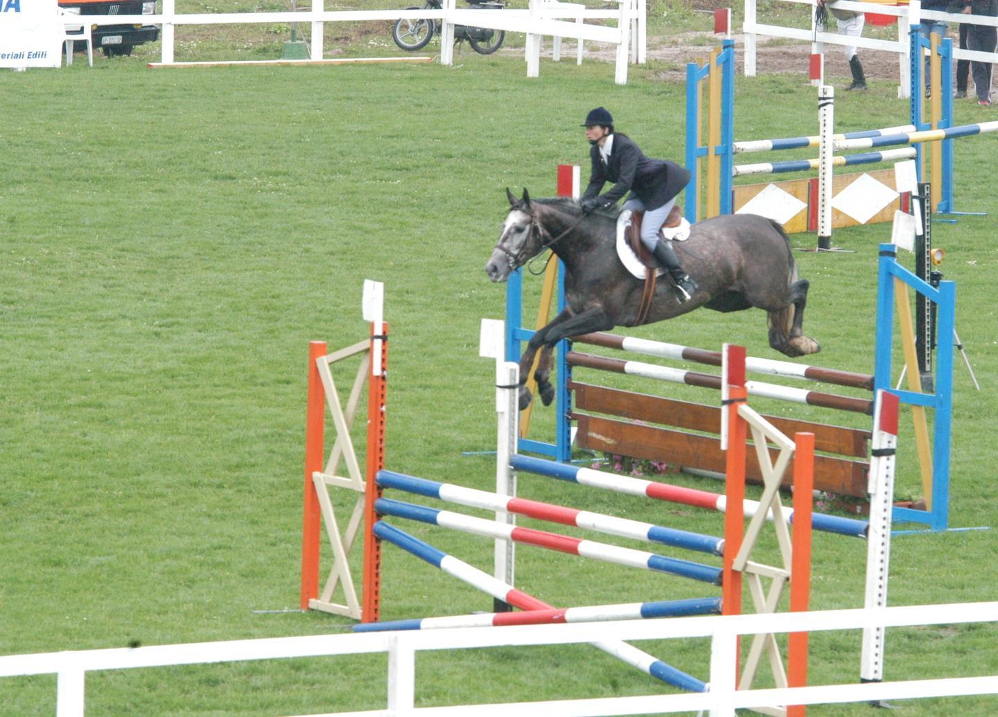 Gare di salto a ostacoli nel centro ippico di Pozzomaggiore 