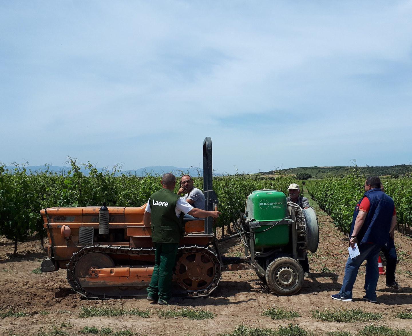 Vigneti, verso la riduzione degli agrofarmaci 