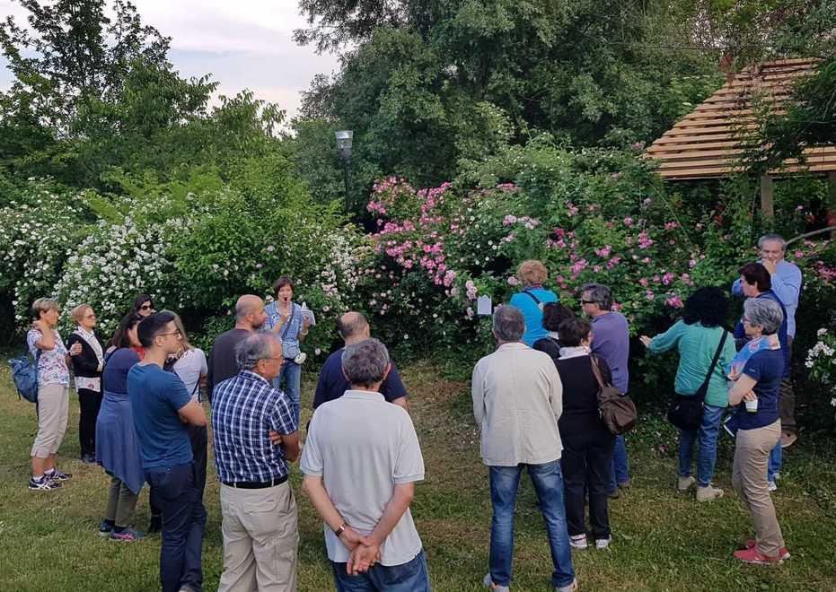 Festa delle rose al giardino didattico del parco cittadino 