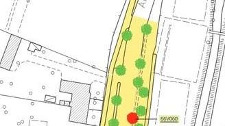 Saranno abbattuti 17 lecci di viale Arcadia