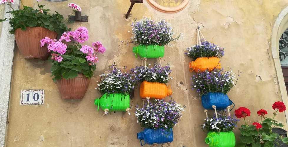 A Margherita il premio Campiglia in Fiore
