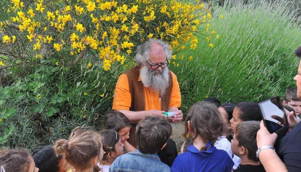 Viaggio nella natura tra insetti e piante per i piccoli dell’asilo